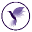 HummingBird Finance